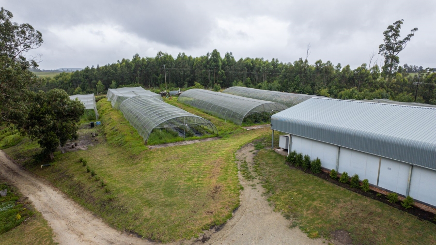 Commercial Property for Sale in Sedgefield Rural Western Cape